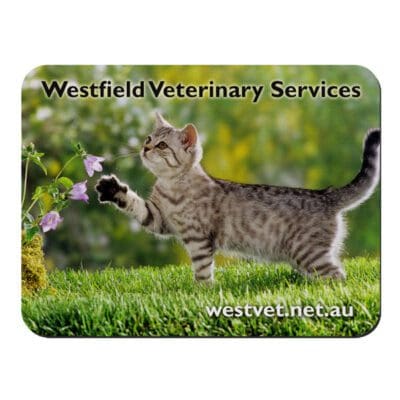 1mm Fabric Top Mouse Mat - FM01