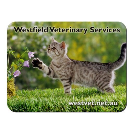 1mm Fabric Top Mouse Mat - FM01